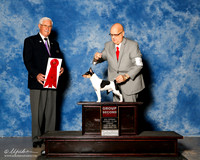 Toy Fox Terrier #7 Fri G2 Bellamy W Eugene Jr Agent Jon Rawleigh Judge Charles Trotter
