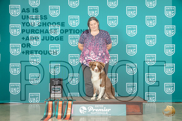 Australian Shepherd #172 Thur All StarsMJP_4069_Premier2023_HR3
