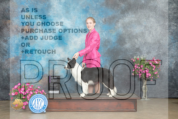 Border Collie #J8 Sat Jr1st Judge Jacqueline L Stacy_MJ_6404_ARK2023_HR3