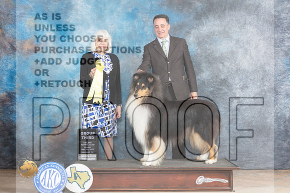 Collie Rough #7 Fri G3 Judge Jan PaulkMJP_0436_Abilene_2023_HR3