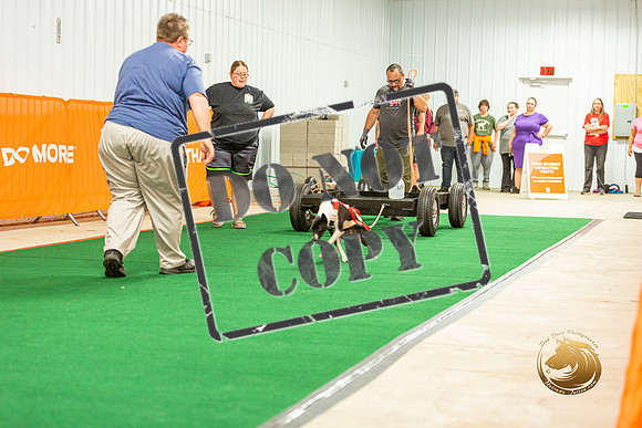 Weight Pull Thurs_JJL_0661-Premier2023