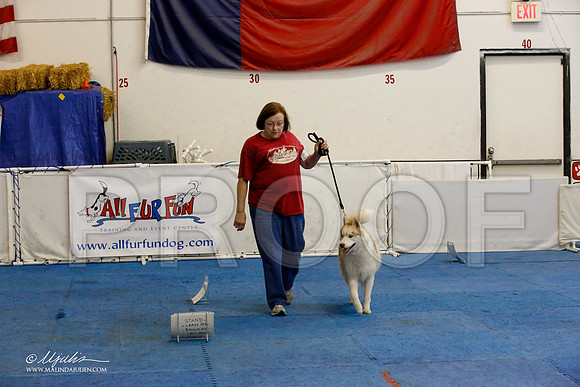 _M3_7643-AddisonHuskyMar2015-HR3