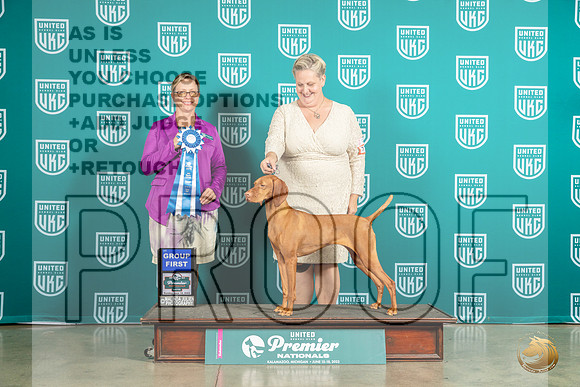 Vizsla #779 Sun G1 Judge Felicity TrammellMJP_6222_Premier2023_HR3