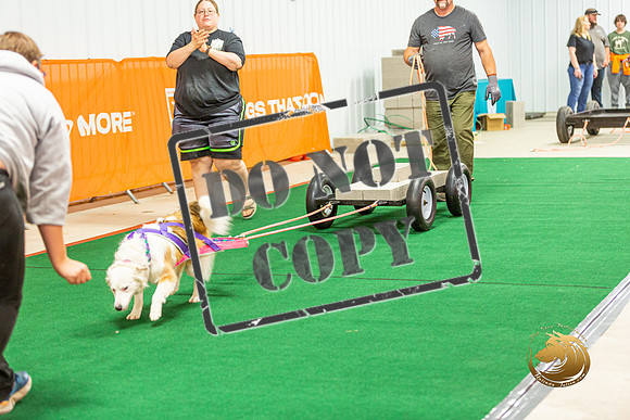 Weight Pull Thurs_JJL_0652_Premier2023