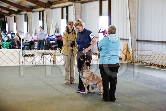 _CA_0625-DFWLabNov2015-©JulienLambertphoto.com-HR3