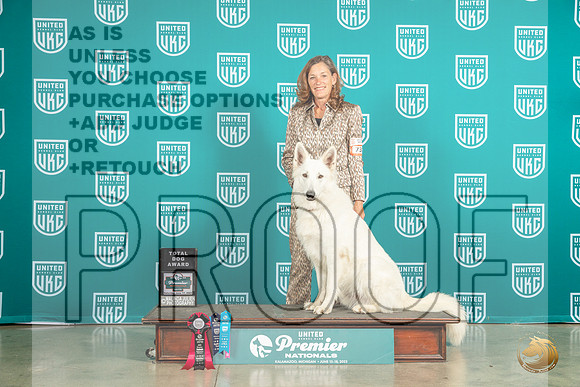 White Shepherd #731 Sat TD no judgeMJP_5735_Premier2023_HR3