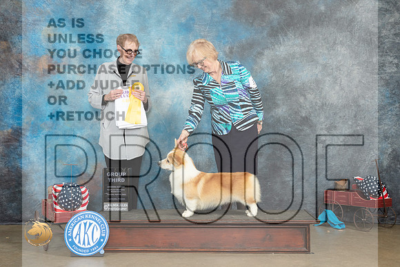 Pembroke Welsh Corgi #31 Thur G3 Judge Edweena (Teddy) McDowell_MJ_5791_ARK2023_HR3