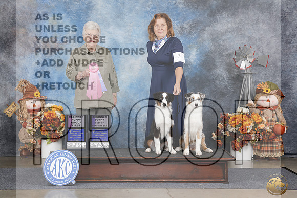Asutralian Shepherd #7 Thurs BPUP G1 BOB BPUP BOS Judge Judith Brown_WP_0022e_Amarillo 2026