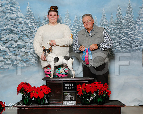 _R2_2666-2-BltnDec2015-HR3