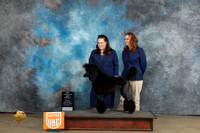 Poodle Std #185 Sat BM Judge Malinda Julien