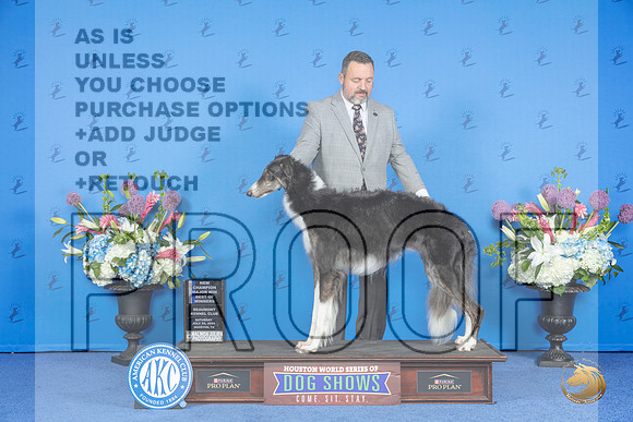Borzoi #32 SAT WB BW NC M Judge Rick Martin__JP_9698_Houston_2024_HR3