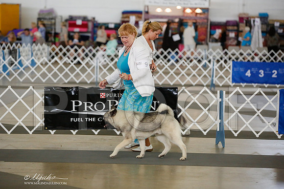 _JJ_5132-DallasJul2014-HR3