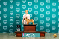 French Bulldog #1273 Sun 1NovJr Judge Matthew Proctor