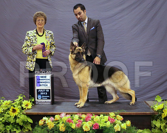 GSD-5117-HstnJ13HR