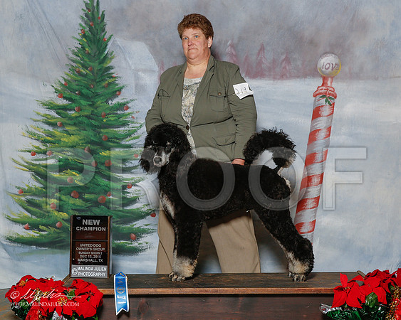_R2_2098-2-MrshlDec2015-HR3