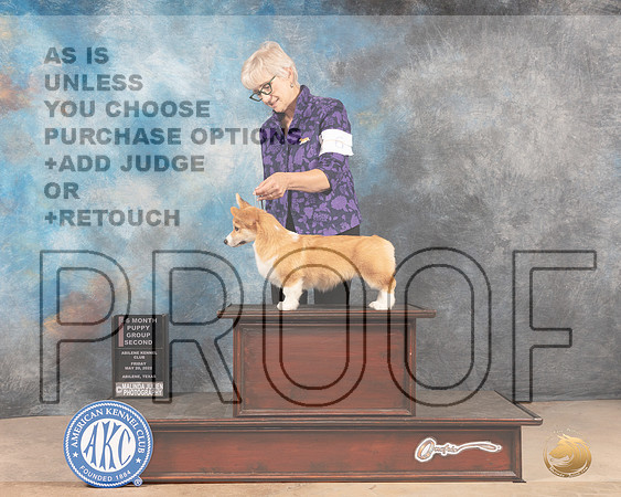 Pembroke Welsh Corgi #6 Fri PG2 Judge Thomason Stanfield Jr-MMJ_3036-Addison2022-HR3