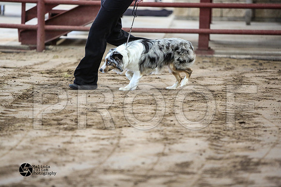 MJ2_0670-WacoFeb14-HR