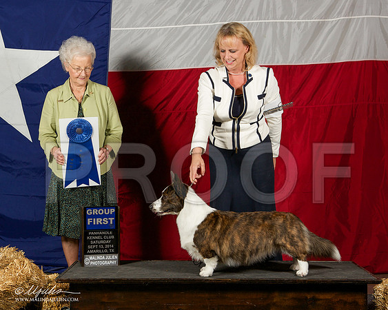 _ST_1788-AmarilloSep2014-HR3