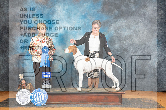 Pointer #? Sun G1 Judge Karen Hynek__JP_8856_MARSHALL_2024_HR3