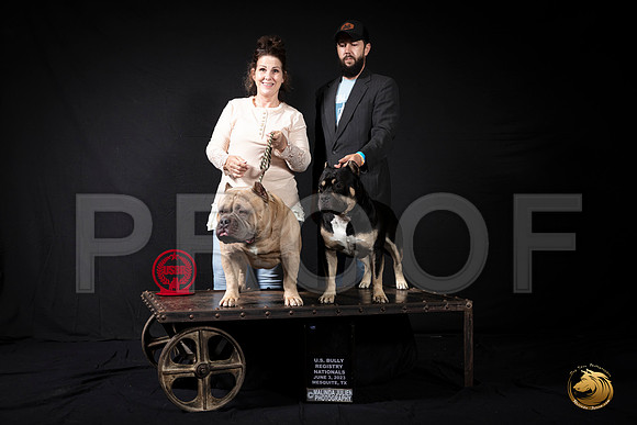 American Bully #26 WagnerMJP_3362_USBRNat2023_HR3