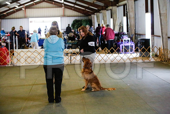 _CA_0662-DFWLabNov2015-©JulienLambertphoto.com-HR3