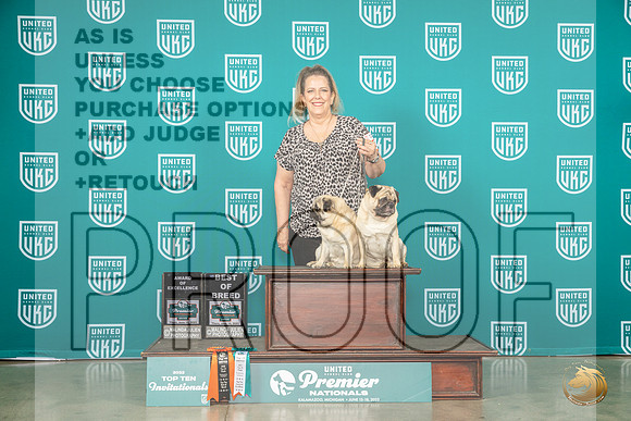 Pugs #1239 1233 BOB AOE Judge Felicity TrammellMJP_3953_Premier2023_HR3