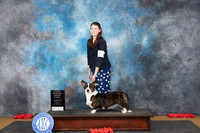 Cardigan Welsh Corgi #12 Sun OHG3 Judge Anne Catterson