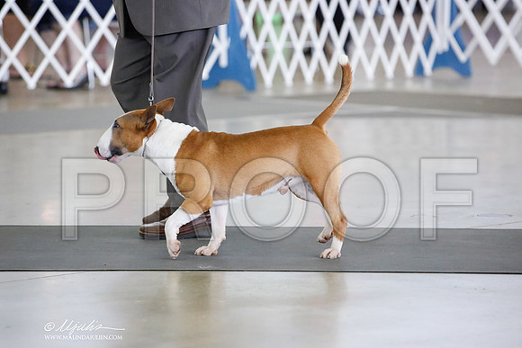 _JN_5204-DallasJul2014-HR3