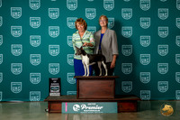 Rat Terrier #1353 Sat BOB Judge Ron Horn