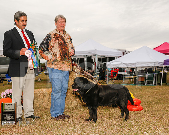 _JJ_2981-2-DFWLabNov2015-HR3