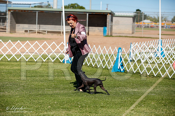 _JJ_6905-AlamogordoOct2014-HR3