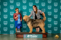 Otterhound #1299 Fri AG1 Judge Felicity Trammell