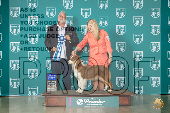 Australian Shepherd #1147 Fri G1 Judge Matthew ProctorMJP_4668_Premier2023_HR3