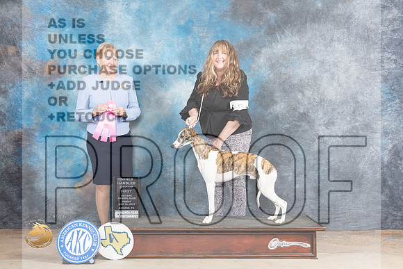 Whippet #9 Fri OHG1 Judge Terry BerriosMJP_0556_Abilene_2023_HR3