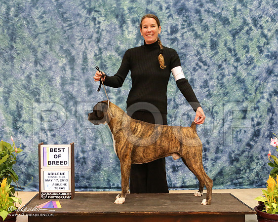 Boxer-2979-AbiMay13HR