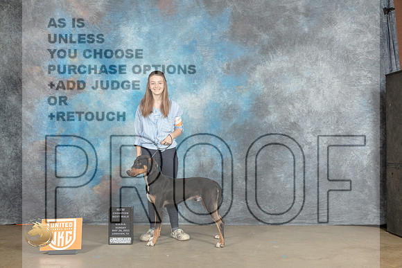 LCLD #262 Sat BMCH Judge Chandra MartinMJP_2746_UKCLNVWMAY2023_HR3