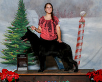 German Shepherd Dog #? Sat S2 Andrea Bryant