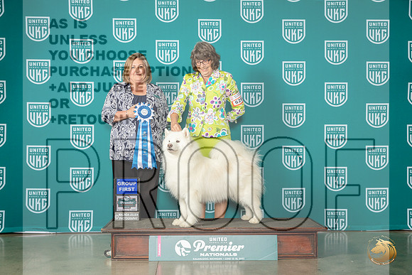 Samoyed #629 Fri AG1 Judge Tracey KallasMJP_4759_Premier2023_HR3