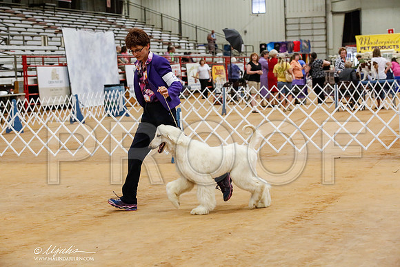 _HR_7745-TxArJun2014-HR3