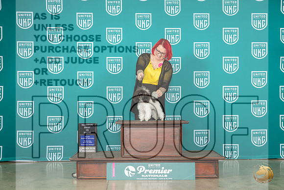 Poodle MC Toy #1094 Fri BOB GrRBIS Judge Dianna BrumbaughMJP_4500_Premier2023_HR3