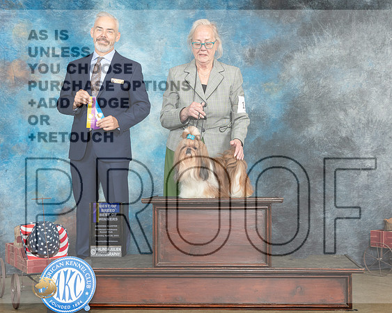 Shih Tzu #16 Thur BOBBOWWB Judge Dale Martenson_MJ_5613e_ARK2023_HR3