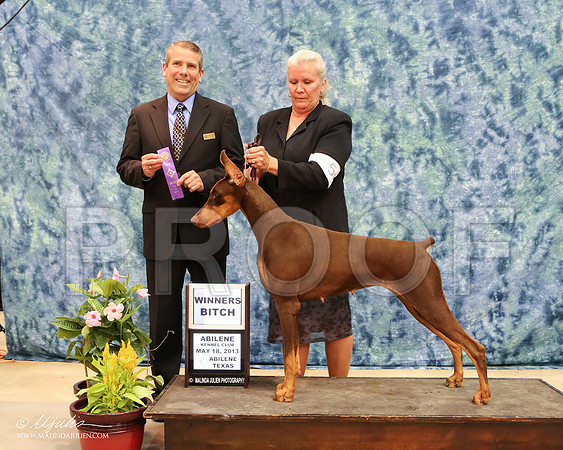 dobe-7592-AbiMay13HR