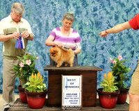 Pomeranian #19 Sat BOW Mark Ward & Renate Richter Judge Frederick Dewsbury HR ABilene May 2013