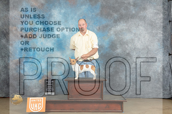 Teddy Roosevelt Terrier #109 Sat COC Judge Matthew ProctorMJP_2433_UKCLNVWMAY2023_HR3