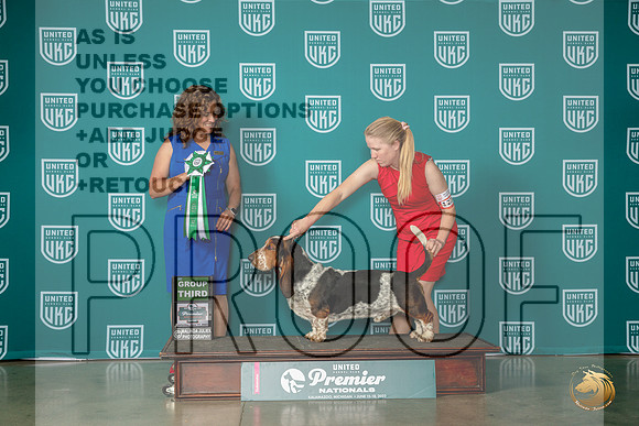 Basset Hound #1234 Sat G3 Judge Tricia TillMJP_5329_Premier2023_HR3