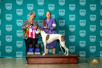 Greyhound #104 Wed VA Judge Mary King