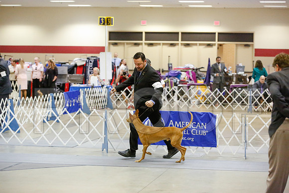 _JN_9136-AmarilloSept2014-HR3