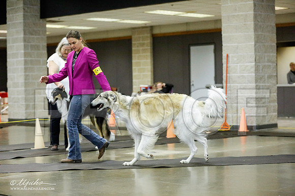 _RH_1332-BeltonJan2015IABCA-HR3