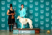 Silken Windhound #1152 Thur TBOB Judge Donna Beadle