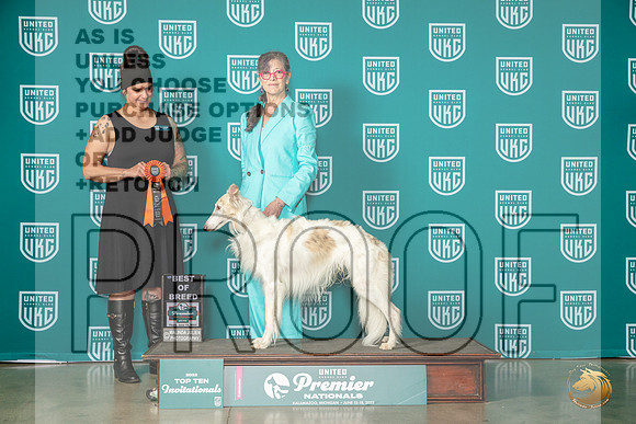Silken Windhound #1152 Thur TBOB Judge Donna BeadleMJP_3891_Premier2023_HR3